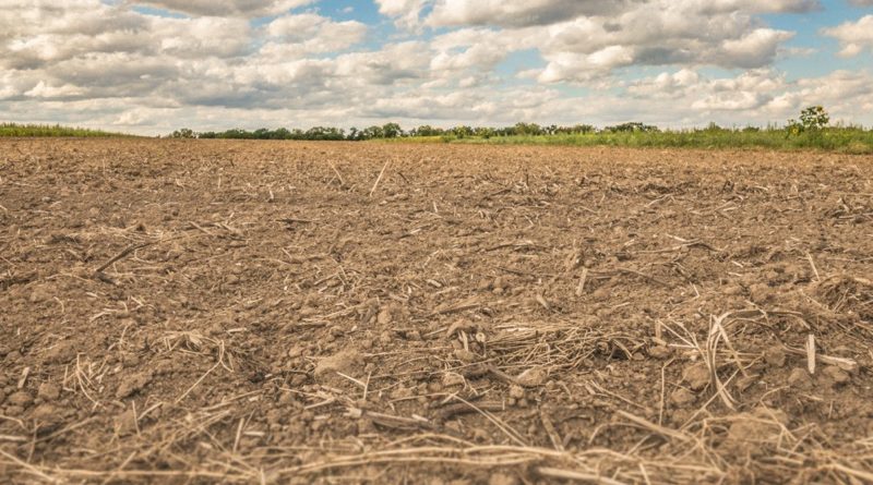 Urgent: Preparing Your Farm Now for the Extended El Niño Extreme