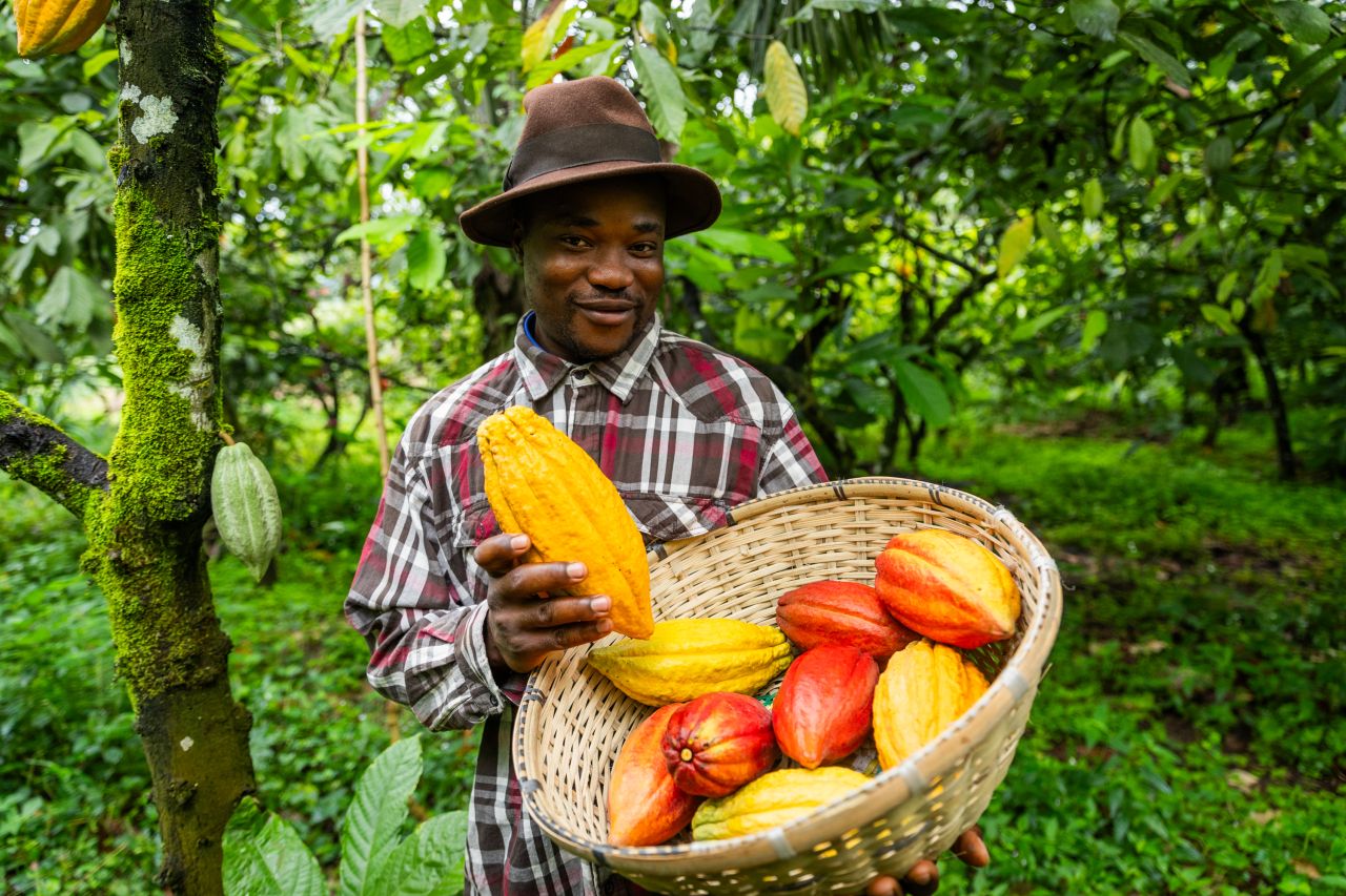 Economic Relief: How Going Organic Cuts Farmer Expenses Immediately