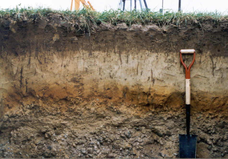 Your Synthetic Fertilizer is Failing Your Crops When Water is Scarce