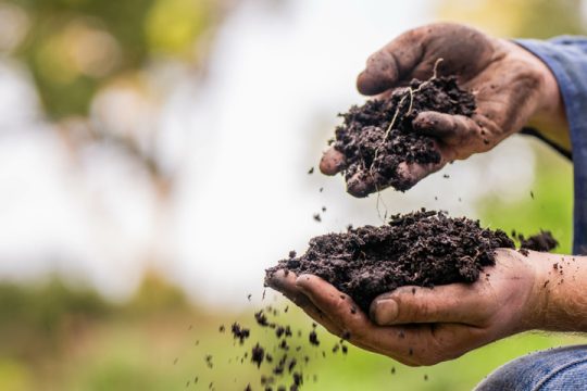 The Regenerative Revolution: What It Is and Why Countries Need It Now