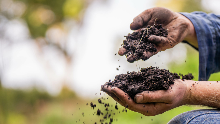 The Regenerative Revolution: What It Is and Why Countries Need It Now